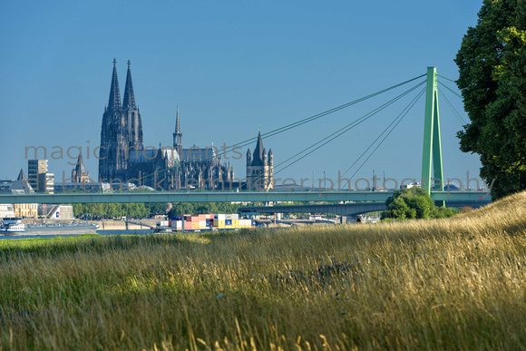 Cologne 2013 07 025-Bearbeitet