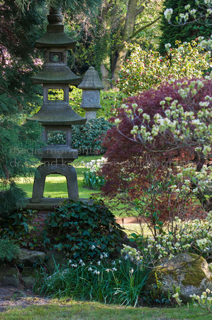 Japanese Garden Lev 045